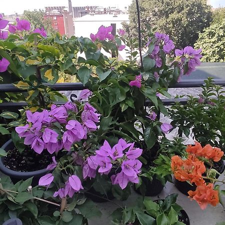 Apartman Bella Vista Rijeka Appartement Buitenkant foto