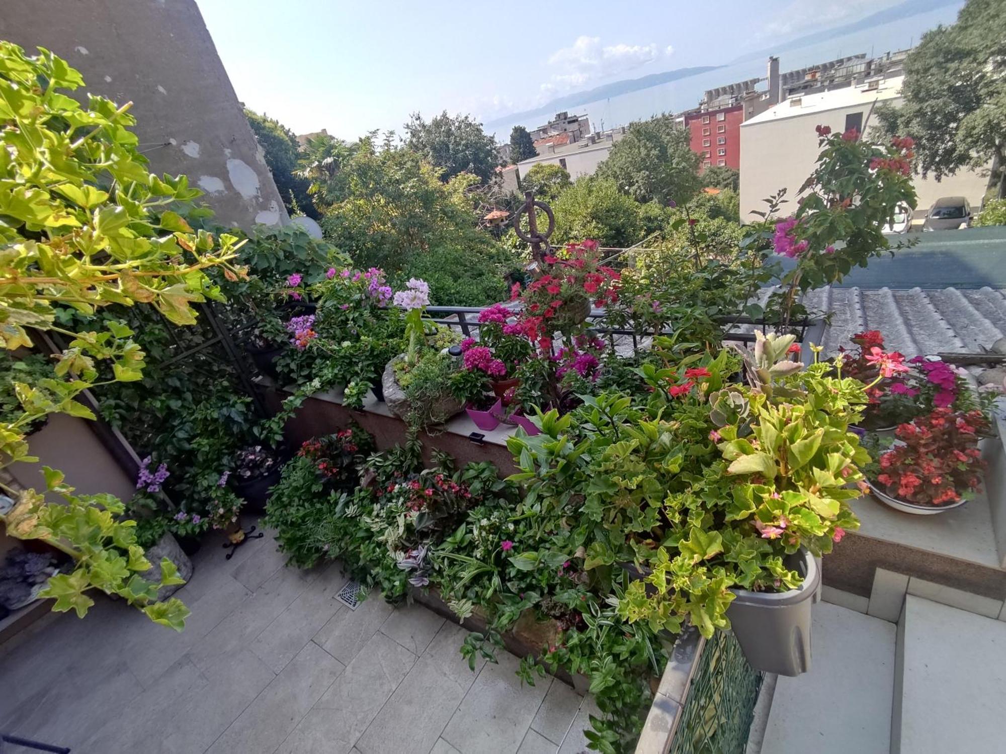 Apartman Bella Vista Rijeka Appartement Buitenkant foto