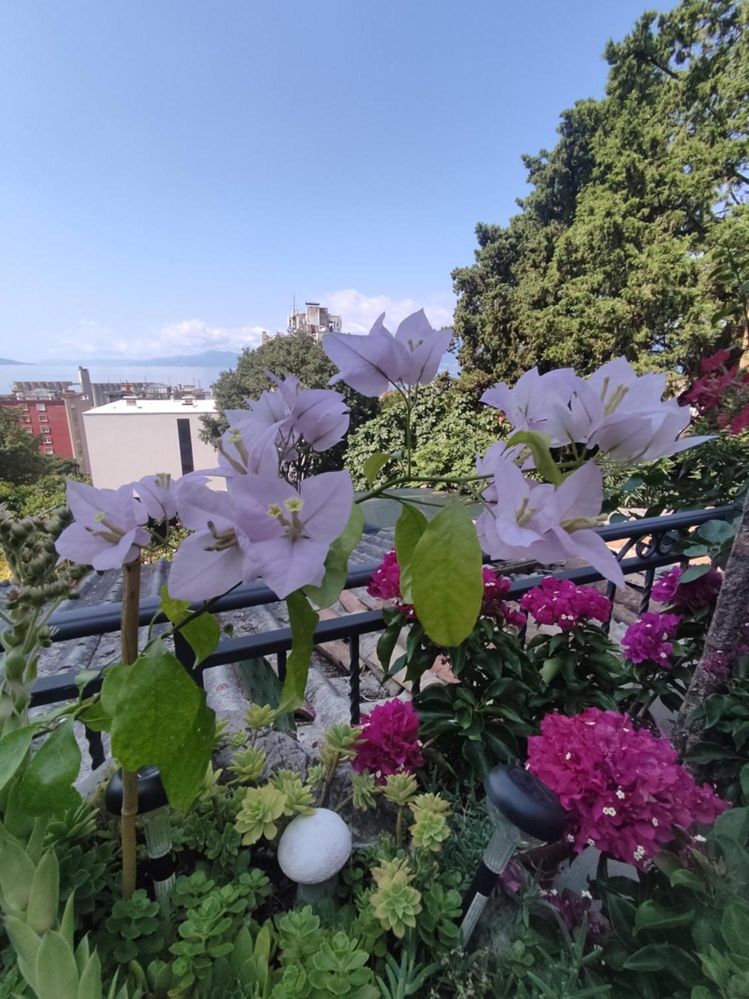 Apartman Bella Vista Rijeka Appartement Buitenkant foto
